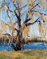 5. A plein air painting of a tree by Gail Kelly art