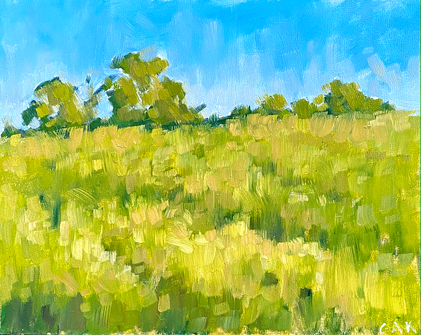 A plein air oil painting of a meadow by Gail Kelly art